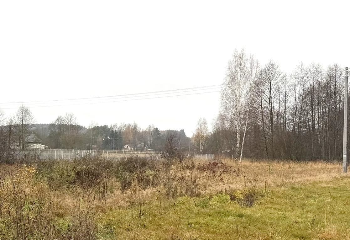 nieruchomość niezabudowana położona w gminie Inowłódz, obręb 9 Żądłowice, składająca się z działek nr 8 oraz 367 – zdjęcie 4 z 4