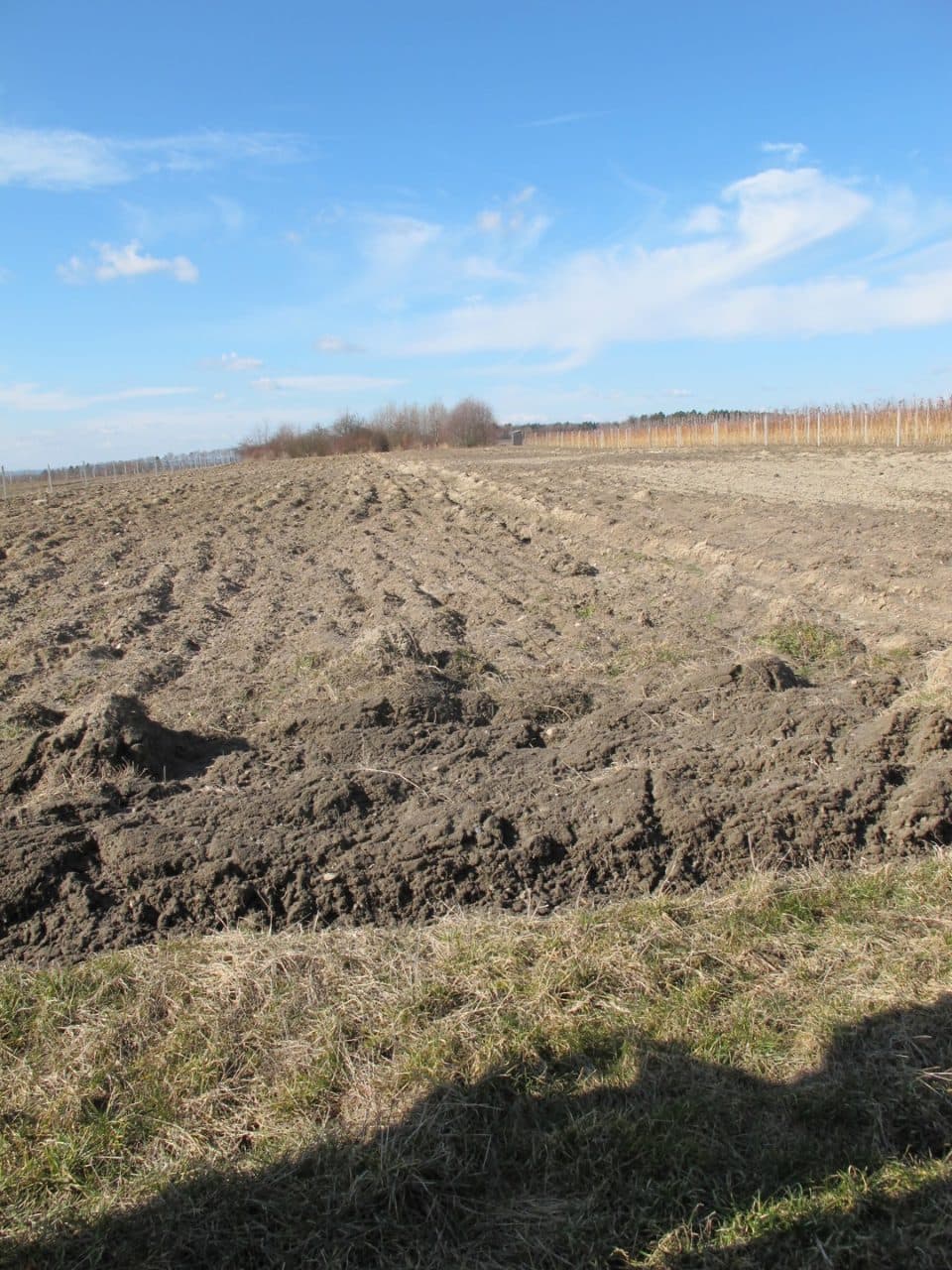 dz. nr ewid. 112, 145, 222, 385, 462/3 – zdjęcie 17 z 18