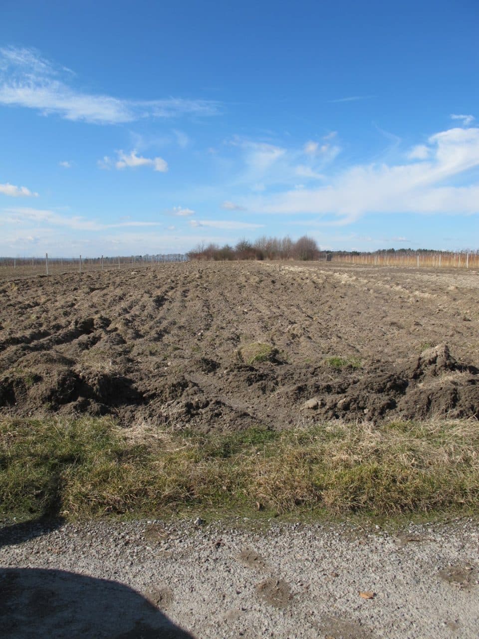 dz. nr ewid. 112, 145, 222, 385, 462/3 – zdjęcie 18 z 18