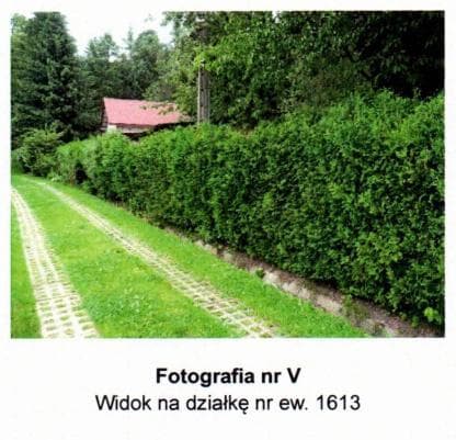 działka ew. nr 1613