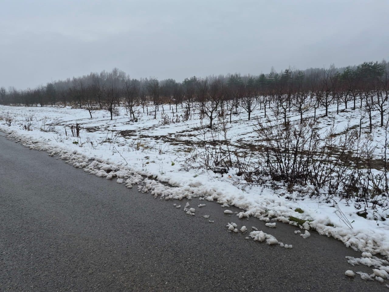 Nieruchomość gruntowa składająca się z działki o numerze 2958 z KW KI1S/00099650/4