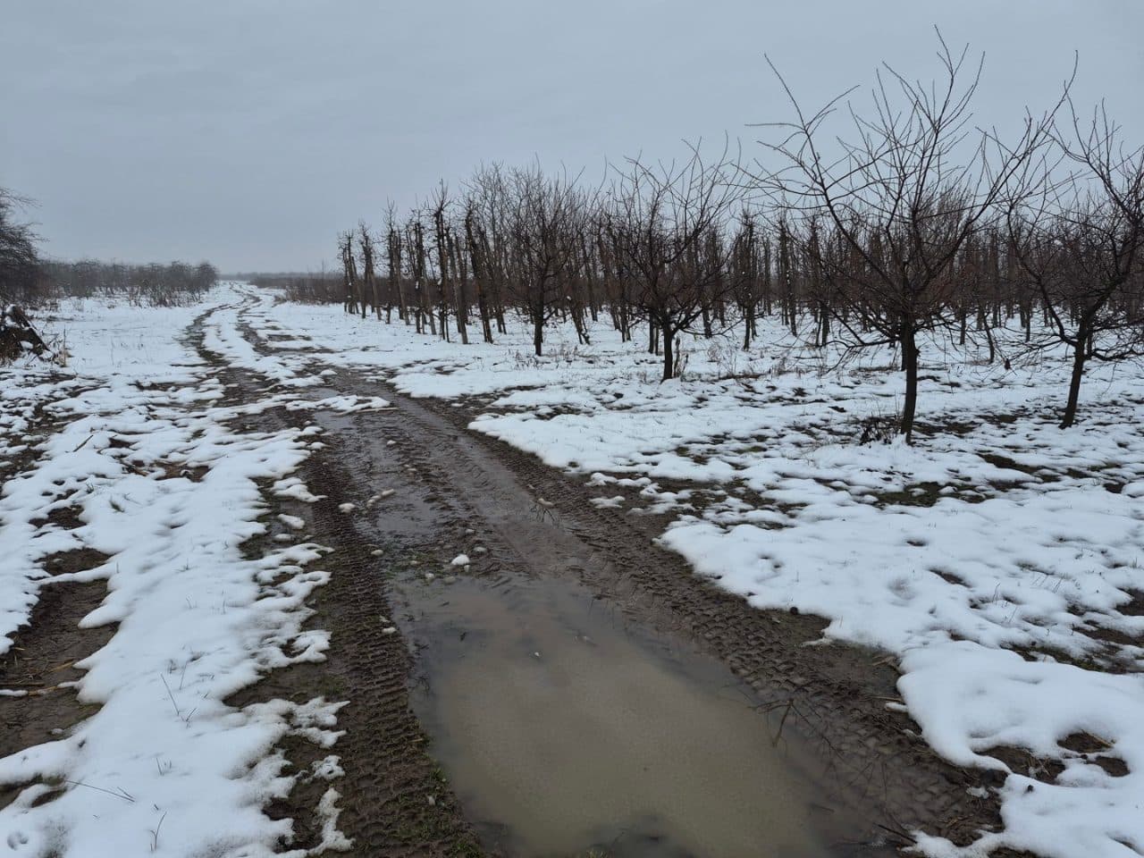 Nieruchomość gruntowa składająca się z działki o numerze 2531 z KW KI1S/00094398/4