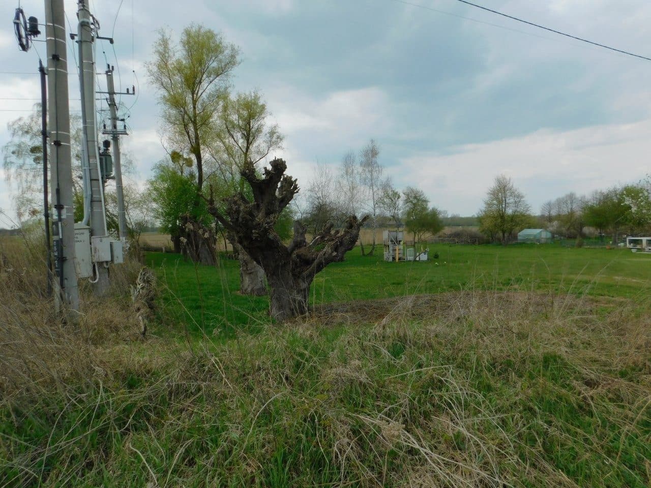 nieruchomość