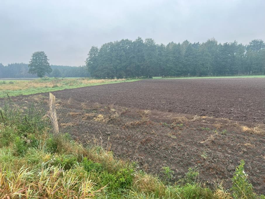 NIERUCHOMOŚĆ ROLNA