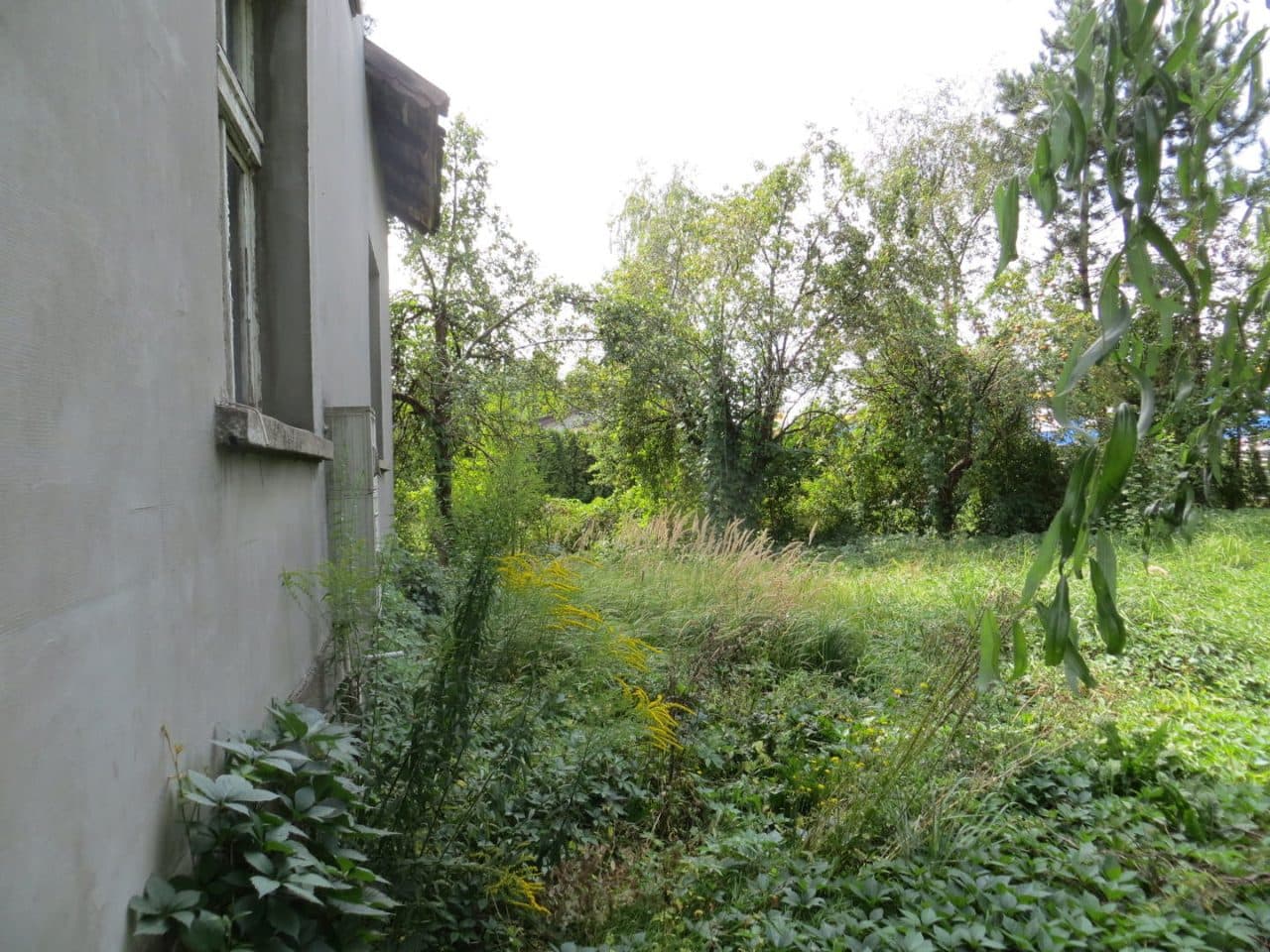 KR1C/00042244/0 – zdjęcie 9 z 9