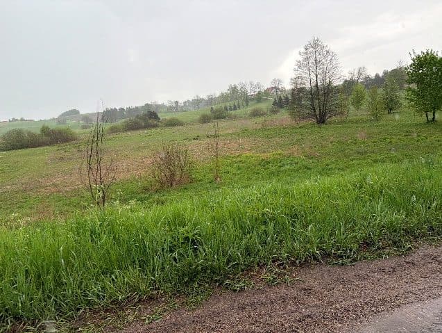 działki o nr 312 i 323/1 o łącznej pow. 0,5355ha, 11-731 Sorkwity, Zyndaki. – zdjęcie 3 z 5