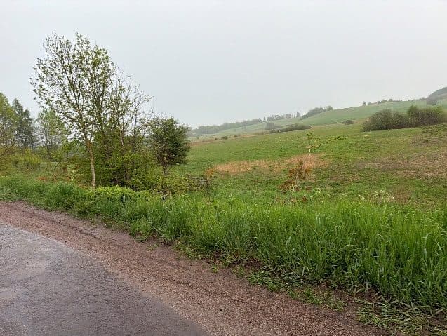 działki o nr 312 i 323/1 o łącznej pow. 0,5355ha, 11-731 Sorkwity, Zyndaki. – zdjęcie 4 z 5