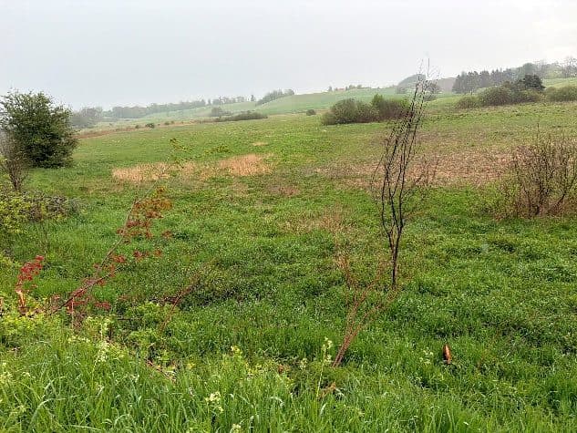 działki o nr 312 i 323/1 o łącznej pow. 0,5355ha, 11-731 Sorkwity, Zyndaki. – zdjęcie 5 z 5