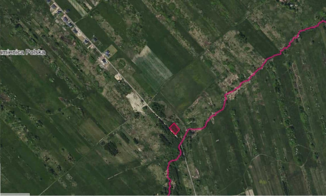 odłogujące grunty orne, porośnięte samosiewem drzew i krzewów oraz trawą