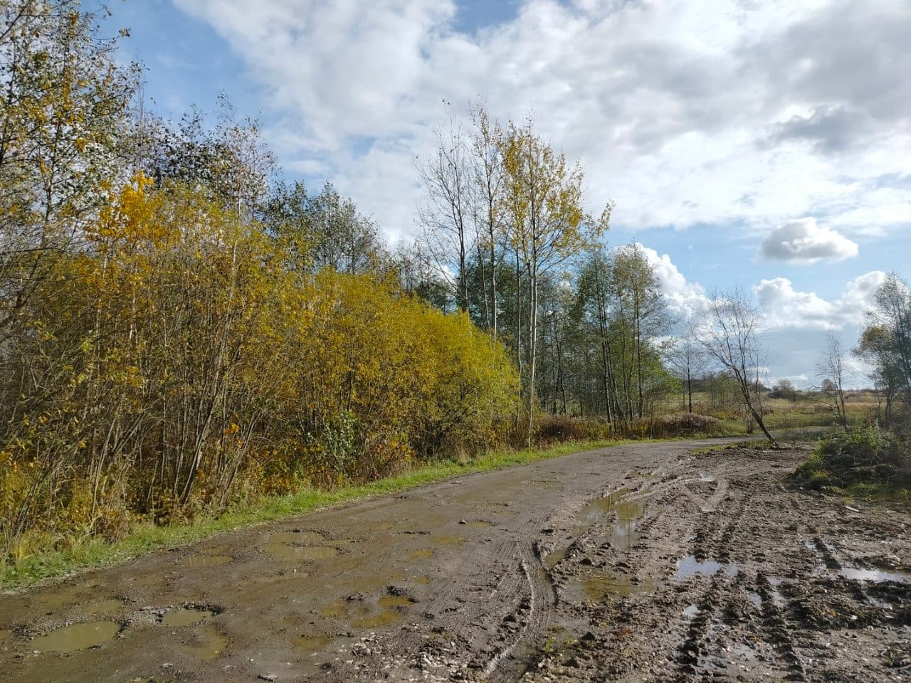 odłogujące grunty orne, porośnięte samosiewem drzew i krzewów oraz trawą – zdjęcie 3 z 5