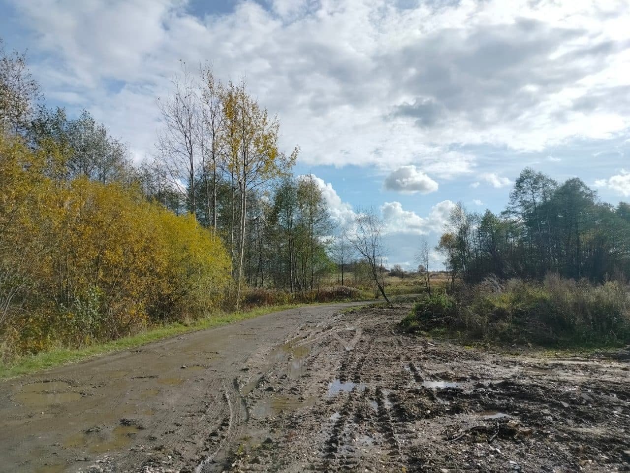 odłogujące grunty orne, porośnięte samosiewem drzew i krzewów oraz trawą – zdjęcie 4 z 5
