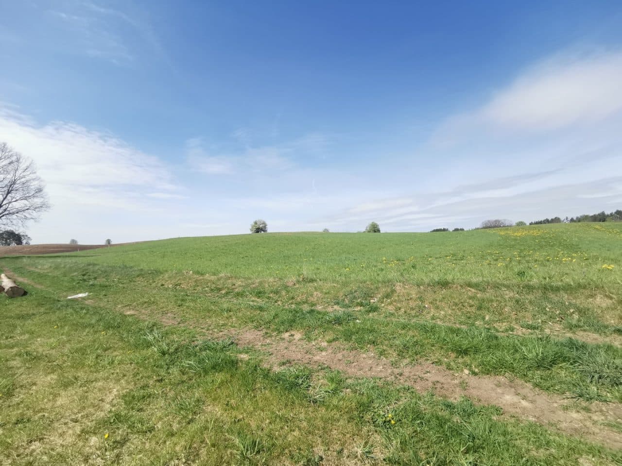 nieruchomość gruntowa niezabudowana – zdjęcie 10 z 10