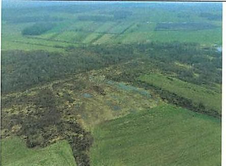 udział w wysokości 1/2 - dz. nr 412 o pow. 1100m2, Chojnowo gm. Szczuczyn – zdjęcie 2 z 2