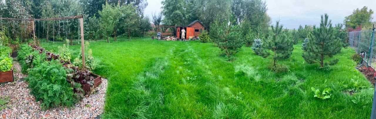 nieruchomość zabudowana budynkiem mieszkalnym jednorodzinnym – zdjęcie 5 z 10
