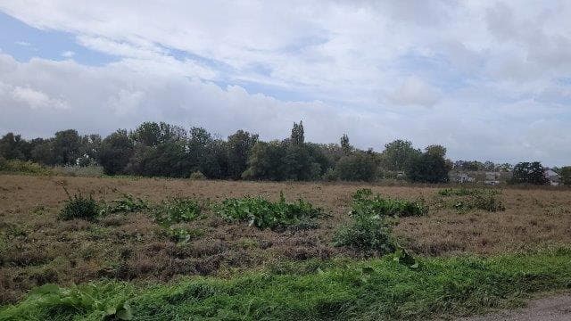 działka nr 79/5 Dębicz – zdjęcie 5 z 9