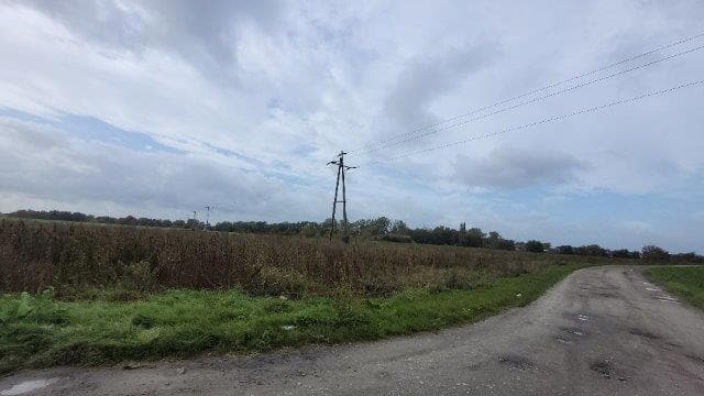 działka nr 79/5 Dębicz – zdjęcie 8 z 9