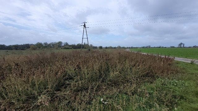 działka nr 79/5 Dębicz – zdjęcie 9 z 9