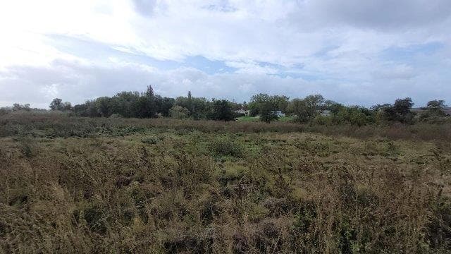 działka Dębicz nr 79/10 – zdjęcie 4 z 9