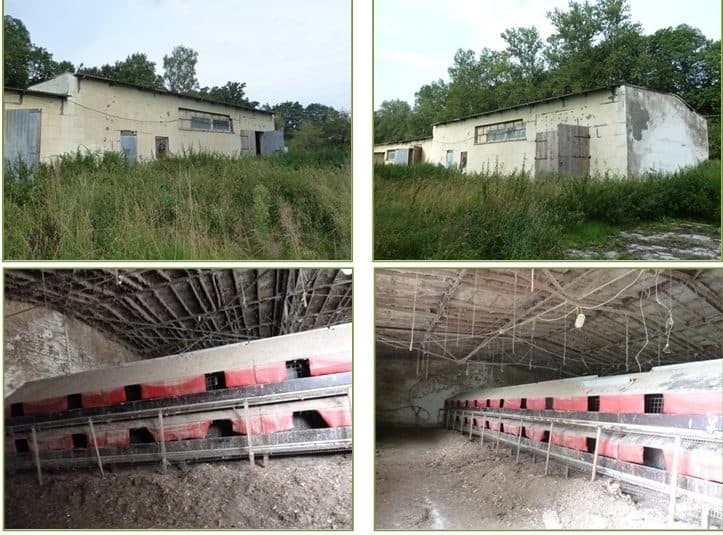 Działka o powierzchni 5.725 m2 zabudowana dwoma budynkami o łącznej powierzchni użytkowej 443,89 m2, Zawada (Podole Wielkie), gmina Główczyce – zdjęcie 5 z 7