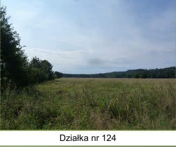 działki 13,77 ha Zawada (Podole Wielkie), gmina Główczyce – zdjęcie 4 z 9