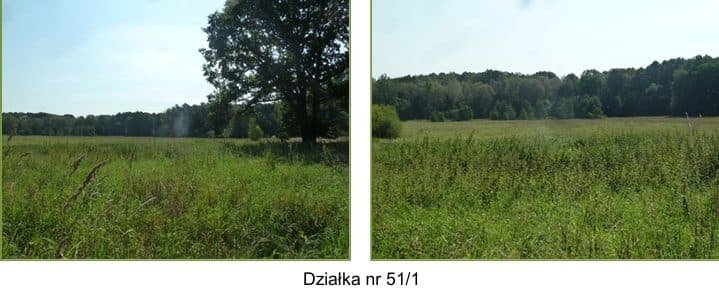 działki 13,77 ha Zawada (Podole Wielkie), gmina Główczyce – zdjęcie 5 z 9