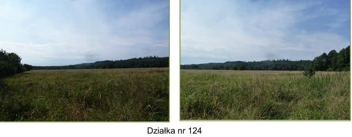 działki 13,77 ha Zawada (Podole Wielkie), gmina Główczyce – zdjęcie 6 z 9