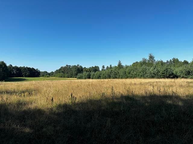 Nieruchomość gruntowa zabudowana – zdjęcie 21 z 34