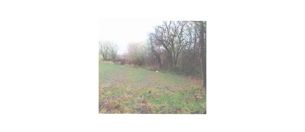grunty, nieruchomość gruntowa niezabudowana, działka o pow. 8250 m2, Nużewko k. Ciechanowa – zdjęcie 3 z 4