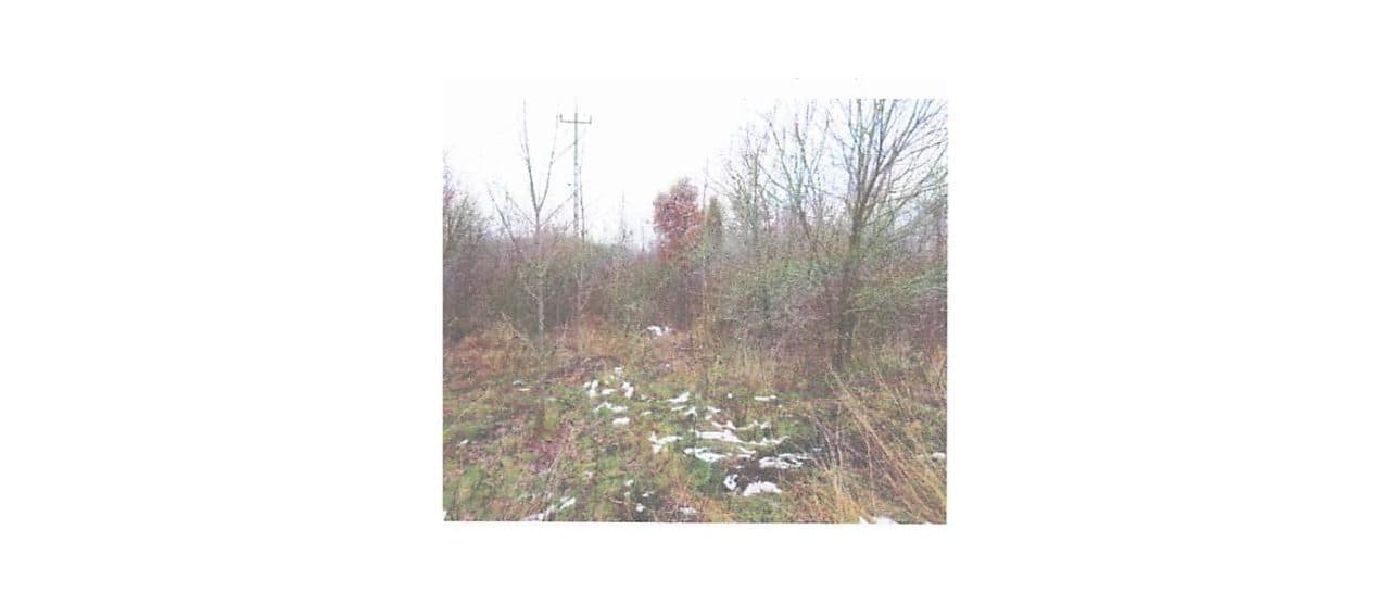 grunty, nieruchomość gruntowa niezabudowana, działka o pow. 8250 m2, Nużewko k. Ciechanowa – zdjęcie 4 z 4