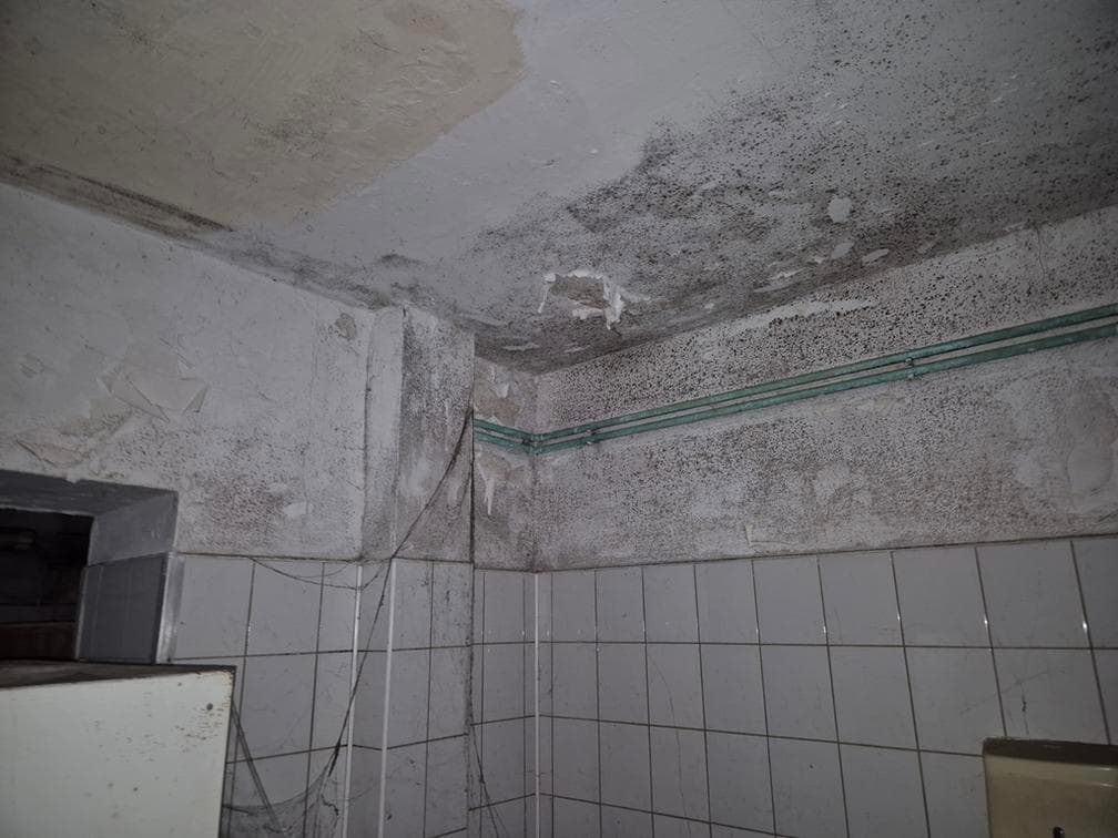 I e-licytacja gruntu oddanego w użytkowane wieczyste i budynku stanowiącego odrębną nieruchomość (Słońsk) – zdjęcie 62 z 152