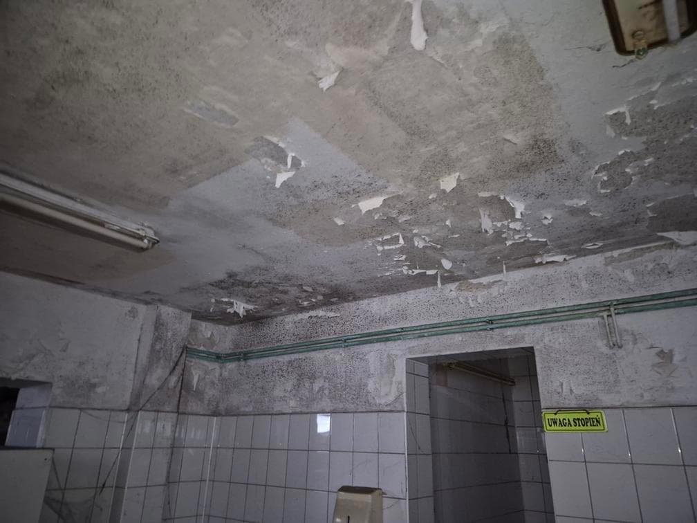 I e-licytacja gruntu oddanego w użytkowane wieczyste i budynku stanowiącego odrębną nieruchomość (Słońsk) – zdjęcie 68 z 152