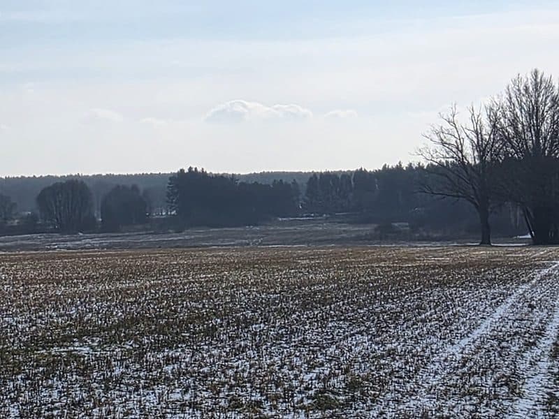 nieruchomość gruntowa niezabudowana (działka ozn. nr 586)