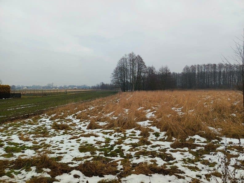 działka nr ewid. 686