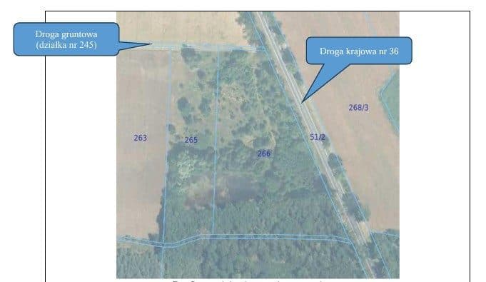 Nieruchomość położona w granicach działek gruntu nr 266 i 265 łącznego obszaru 2,7330 ha w obrębie Gogołowice, w gminie Lubin, powiecie lubińskim, województwie dolnośląskim, grunty orne, – zdjęcie 2 z 2