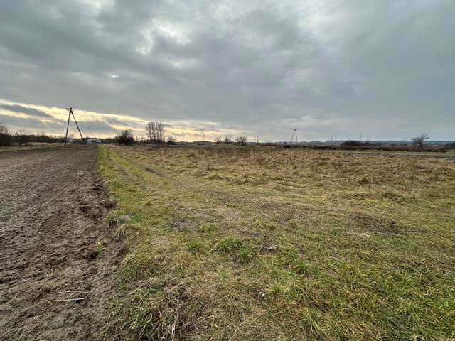 Nieruchomość gruntowa - niezabudowane działki gruntu – zdjęcie 3 z 6