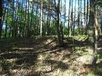 udział nr 2 w wys. 1/2 w działce nr 333 i 344