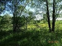udział nr 2 w wys. 1/2 w działce nr 349 i 366