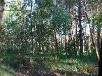 udział nr 2 w wys. 1/2 w działce nr 1993