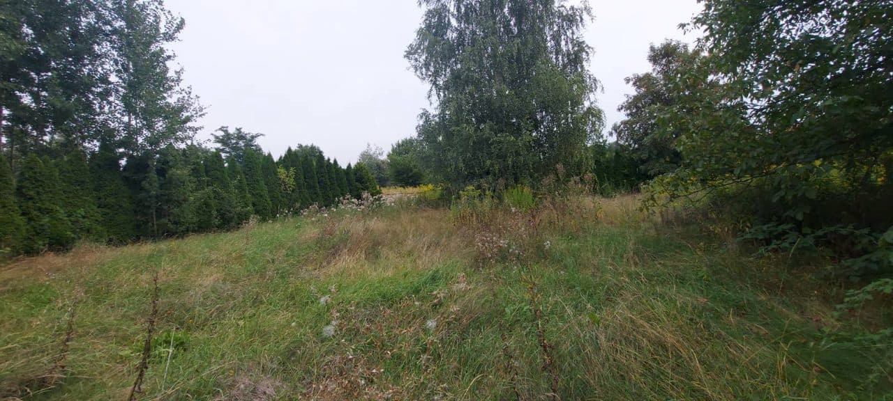 połączona egzekucja z nieruchomości na podstawie art. 926 par. 1 kpc – zdjęcie 12 z 13