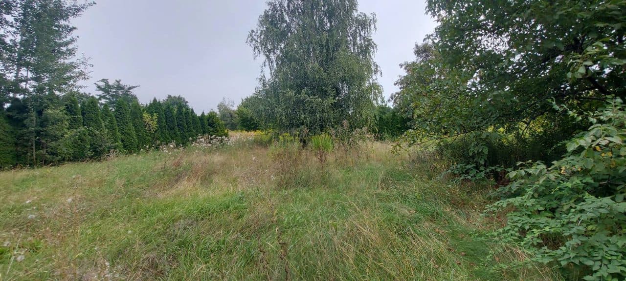 połączona egzekucja z nieruchomości na podstawie art. 926 par. 1 kpc – zdjęcie 13 z 13