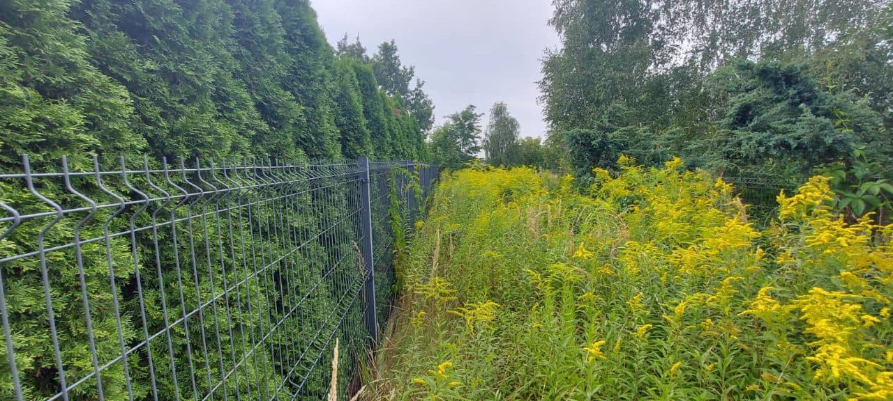 połączona egzekucja z nieruchomości na podstawie art. 926 par. 1 kpc – zdjęcie 4 z 13