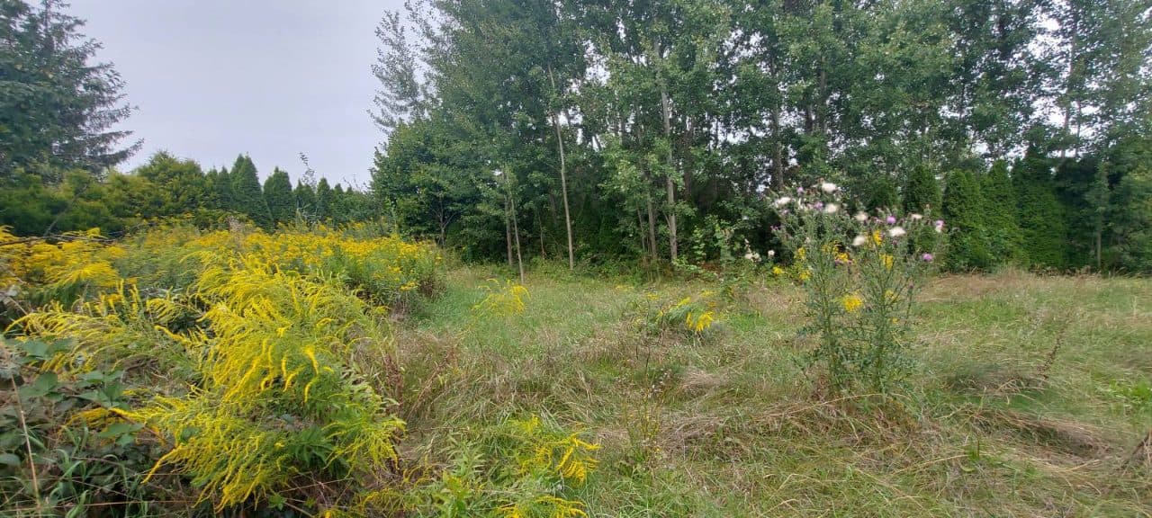 połączona egzekucja z nieruchomości na podstawie art. 926 par. 1 kpc – zdjęcie 9 z 13