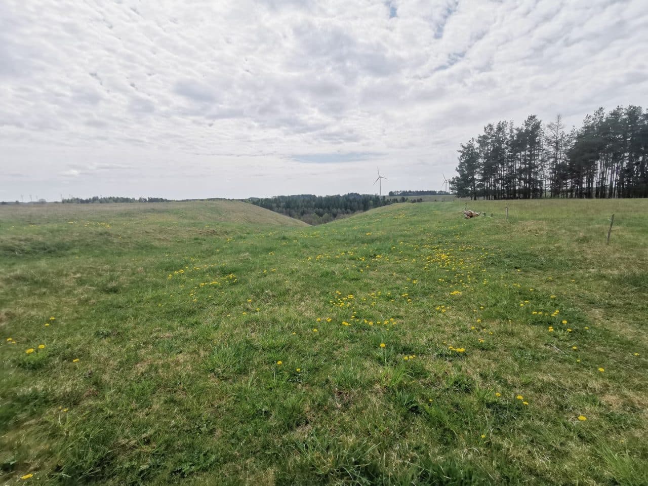 grunty rolne zabudowane – zdjęcie 16 z 23