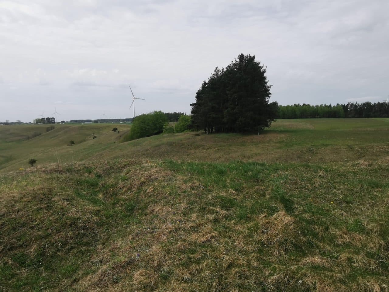 grunty rolne zabudowane – zdjęcie 20 z 23