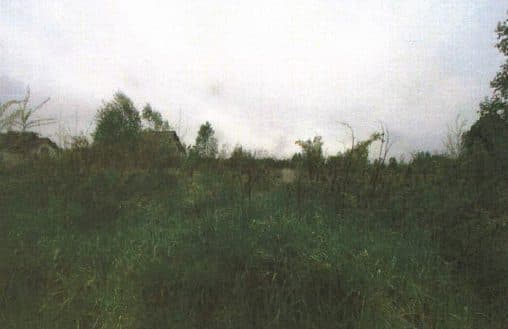 Nieruchomość gruntowa-grunty orne – zdjęcie 2 z 3