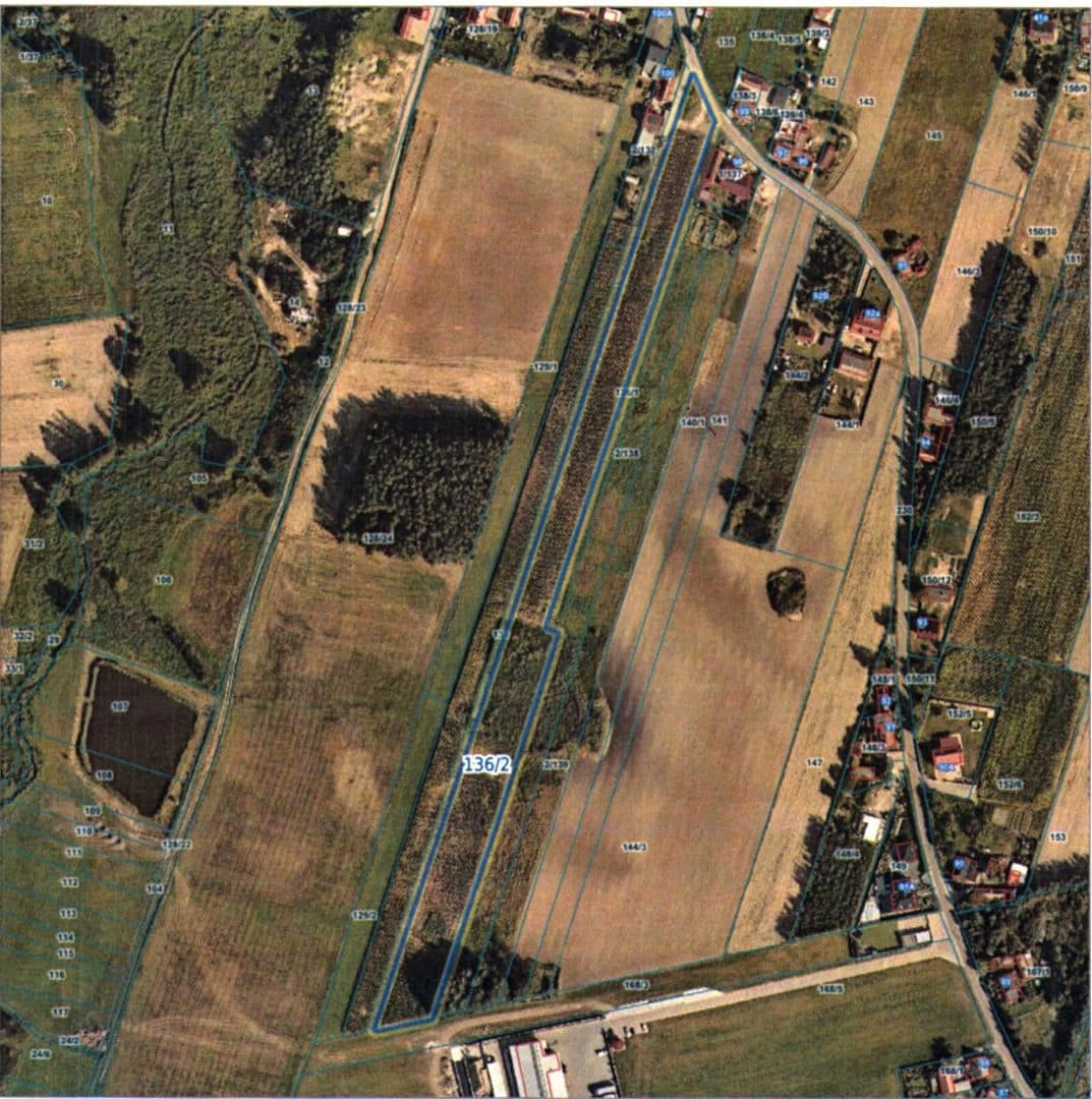 Magnuszewice – zdjęcie 3 z 6