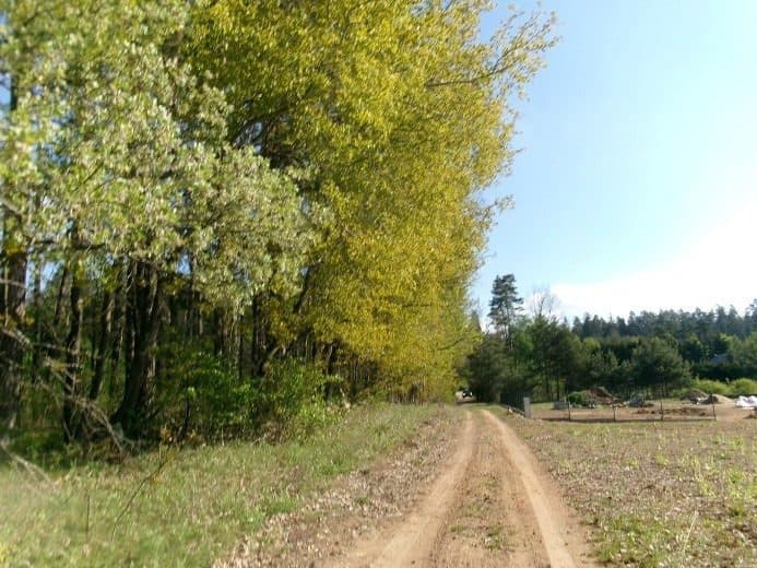 Udział 1/2 w nieruchomości gruntowej niezabudowanej w Okuniowcu, gm. Suwałki, o łącznej powierzchni 0,7680 ha. – zdjęcie 2 z 4