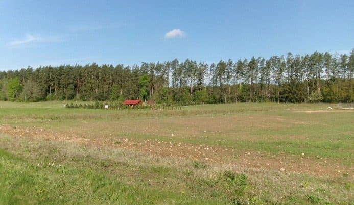 Udział 1/2 w nieruchomości gruntowej niezabudowanej w Okuniowcu, gm. Suwałki, o łącznej powierzchni 0,7680 ha. – zdjęcie 3 z 4