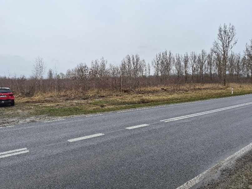 użytkowania wieczystego nieruchomości składającej się z działki ewid. nr 730/4, 1312, 1310/5, 1310/6 o łącznej powierzchni 9,9667 ha