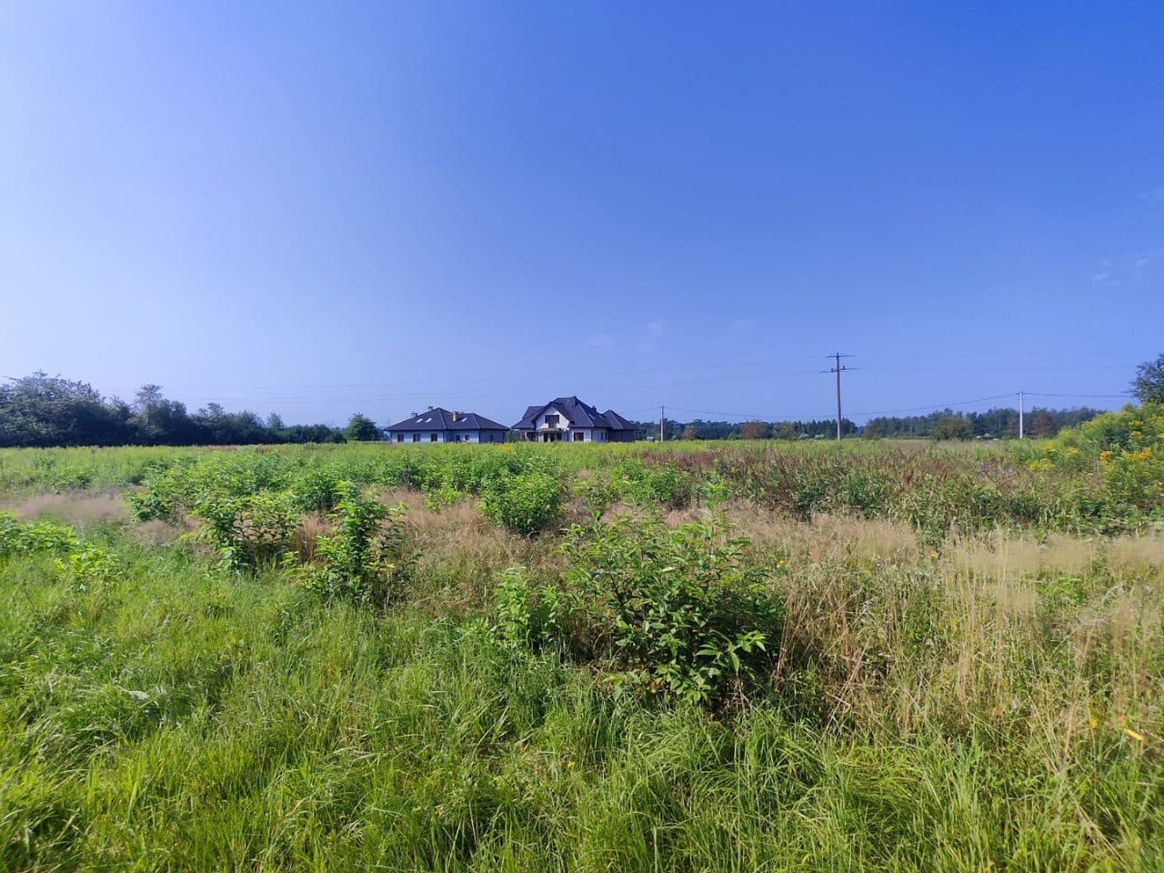 Udziały w działkach niezabudowanych położonych w Przegini Narodowej, gm. Czernichów przy ul. Św. Weroniki, dla których są założone KW nr KR1K/00009691/3, KR1K/00029022/9, KR1K/00029025/0 – zdjęcie 3 z 4